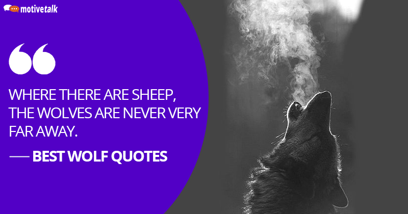 Wolf-Quotes