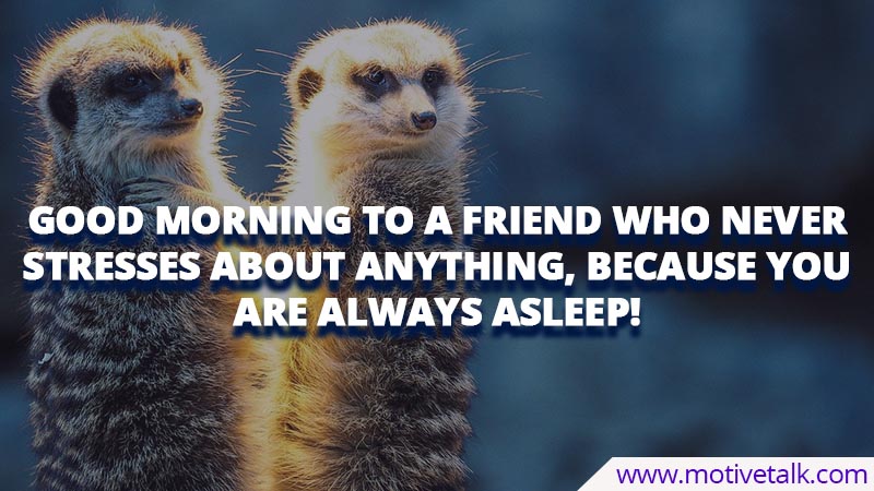 Funny-Good-Morning-Quotes-For-Friends